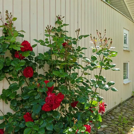 Gezellig Zomerhuis Met Volledig Zeezicht Strøby Ladeplads