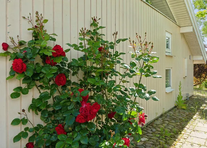 Cozy Summer House With Full Sea View Strøby Ladeplads